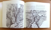 D'une rive à l'autre ou Les ponts de Suisse. . Berger Ric: 