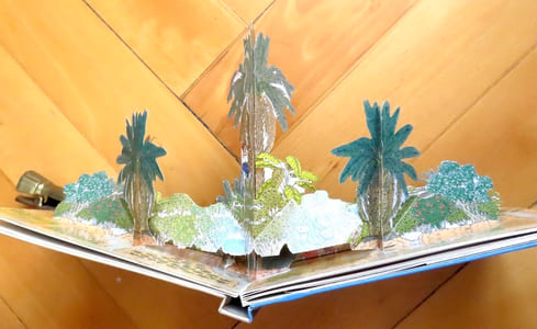 L'oasis. Un jardin dans le désert.