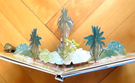 L'oasis. Un jardin dans le désert. . Bettaïeb Viviane, Fourure Bruno: