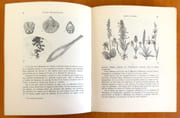 Nature neuchâteloise. Douze randonnées à travers le canton. Suivi de: Le premier siècle du Club jurassien par Ed. Urech.  par Ischer A., Brodbeck E.:  - Image 3