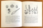 Nature neuchâteloise. Douze randonnées à travers le canton. Suivi de: Le premier siècle du Club jurassien par Ed. Urech. . Ischer A., Brodbeck E.: 