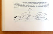 Nature neuchâteloise. Douze randonnées à travers le canton. Suivi de: Le premier siècle du Club jurassien par Ed. Urech.  par Ischer A., Brodbeck E.:  - Image 4