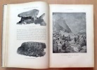 Histoire populaire du canton de Genève. . Denkinger-Rod H., Fazy Henri (préface), Van Muyden Henri et Pellegrini A.-H (ill.): 