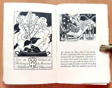 Merveilleuse histoire de Pierre Schlémihl ou L'homme qui a vendu son ombre.