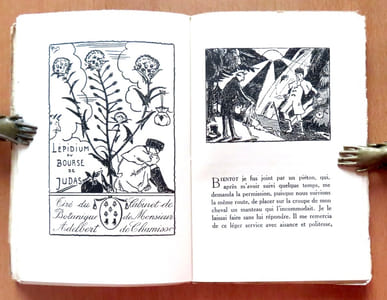 Merveilleuse histoire de Pierre Schlémihl ou L'homme qui a vendu son ombre.