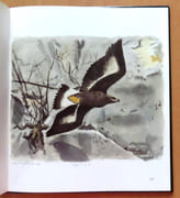 L'année sauvage.  par Deshusses Henri-Paul, Hainard Robert (préface et ill.):  - Image 2