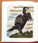 L'année sauvage.  par Deshusses Henri-Paul, Hainard Robert (préface et ill.):  - Image 4