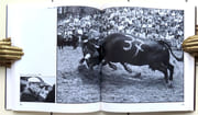Combats de reines en Valais / Kuhkämpfe im Wallis.  par Dubuis Bernard, Theler Luzius:  - Image 2