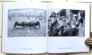 Combats de reines en Valais / Kuhkämpfe im Wallis.  par Dubuis Bernard, Theler Luzius:  - Image 3