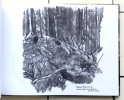 Choeur de loups et autres histoires d'ours. . Hainard Robert: 