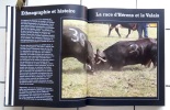 Le pays où les vaches sont reines. . Preiswerk Yvonne, Crettaz Bernard (dir.), Biner Jean-Marc (phot.): 
