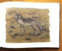 Choeur de loups et autres histoires d'ours. . Hainard Robert: 