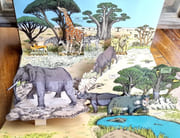 Animalia, voyage animé au pays des animaux.  par Rajak Hélène, Roi Arnaud:  - Image 3