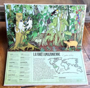 Animalia, voyage animé au pays des animaux.  par Rajak Hélène, Roi Arnaud:  - Image 5