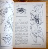 L'encyclopédie par le timbre -  La vie des papillons. . Memling, M. Kalmenoff (illustration): 