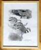 Renardeaux, Nant des Crues, Cartigny, 12 juin 1971 - Bois original signé et numéroté. . Hainard Robert: 