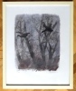 Vol de nuit, Divonne, 6 Févr. 1971 - Bois original signé et numéroté. . Hainard Robert: 