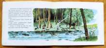 Perlette goutte d'eau. . Colmont Marie, Gerda (ill.): 