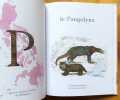 Abécédaire des animaux imaginaires. . Derouen Maxime: 