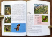 Découvrir la nature en Valais - Voyage en Val d'Illiez.  par Vallauri Daniel:  - Image 3