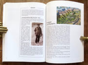 Découvrir la nature en Valais - Voyage en Val d'Illiez.  par Vallauri Daniel:  - Image 4