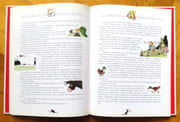 Les contes rouges du chat perché.  par Aymé Marcel, Sabatier Claudine et Roland (ill.):  - Image 3