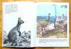 The white wallaby. An enchanting story of Australia's unique animal / A delightful story of the Australian Bush. . MacPherson June and Bruce: 