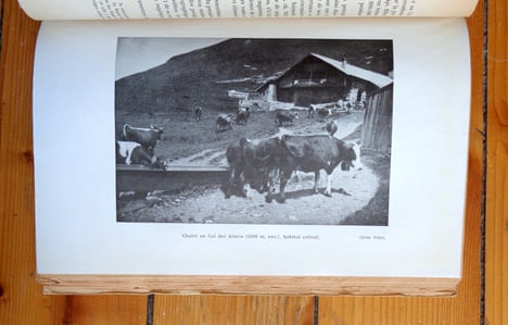 La Nature alpine. Exposé de géographie physique. Godefroy René: