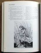 La femme et le Surréalisme.  par Pierre José, Billeter Erika, Mandiargues André Pieyre de (préface):  - Image 5