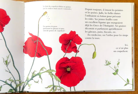 Les bonnes mauvaises herbes. . Maes Dominique, Hellings Colette: