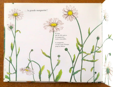 Les bonnes mauvaises herbes. . Maes Dominique, Hellings Colette: