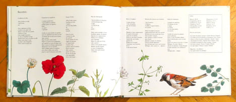 Les bonnes mauvaises herbes. . Maes Dominique, Hellings Colette: