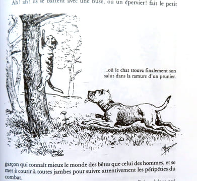 Récits de chez nous / Derniers récits. . Huguenin Oscar: