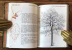 Arbres. Dessins, textes et incursions improvisées en extérieur. . Simon Jacques : 