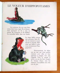 Le voleur d'hippopotames.