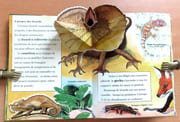 Serpents et autres reptiles. Livre animé.  par Tanner Ottley Gay, Jean Cassels:  - Image 3