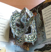 Serpents et autres reptiles. Livre animé.  par Tanner Ottley Gay, Jean Cassels:  - Image 4