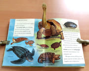 Serpents et autres reptiles. Livre animé.  par Tanner Ottley Gay, Jean Cassels:  - Image 5