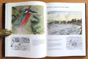 Quand le Rhône coulait libre.  par Hainard Robert:  - Image 5