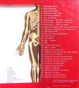 Atlas d'anatomie. par  - Image 2