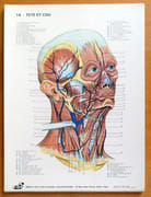 Atlas d'anatomie. par  - Image 3