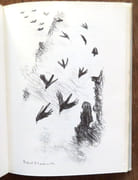 Le mystère du monstre.  par Bille Corinna S., Hainard Robert (ill.): - Image 3