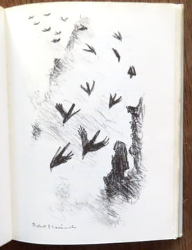 Le mystère du monstre. . Bille Corinna S., Hainard Robert (ill.):