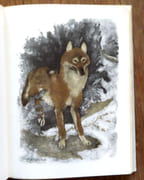Le mystère du monstre.  par Bille Corinna S., Hainard Robert (ill.): - Image 4