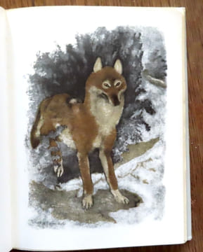 Le mystère du monstre. . Bille Corinna S., Hainard Robert (ill.):