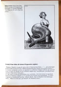 Les refusés. Les aventures passionnantes du dessin de presse en Suisse romande.  par Barrigue, Burki, Casal, Leffel, Henri Meyer, Partick Reymond, Pecub, Pellet, Pierre Reymond, Pierre Reymond, Licèras:  - Image 3