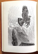 Poil de Carotte. Suivi de Histoires naturelles.  par Renard Jules, Hainard Robert (ill.):  - Image 5