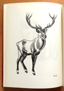 Poil de Carotte. Suivi de Histoires naturelles.  par Renard Jules, Hainard Robert (ill.):  - Image 6