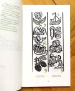 La lettre d'Egypte. De J-F. Champollion &agrave; Rose son &eacute;pouse. . Jacques Beno&icirc;t: 