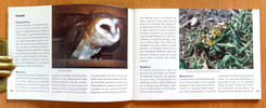Le Marquet-Gob&eacute;-Vengeron. . 